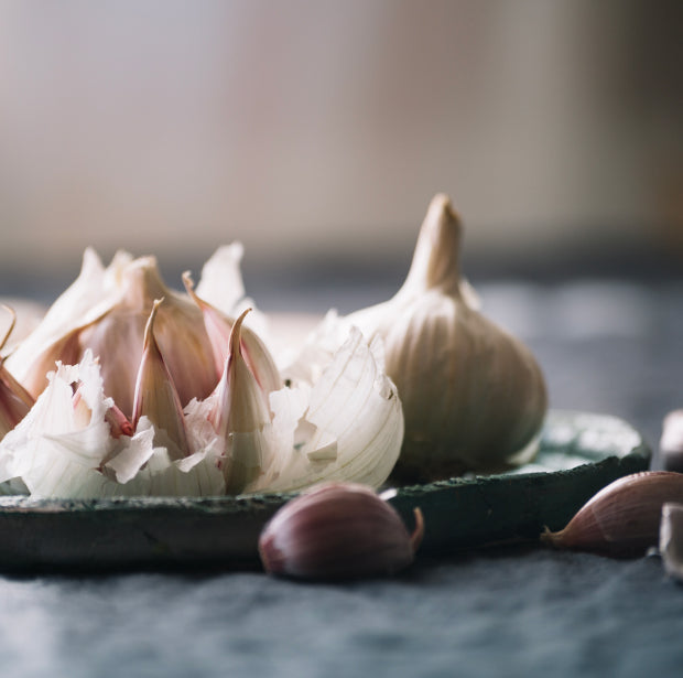 The Science of Garlic: Unveiling Its Ancient Secrets for Modern Health